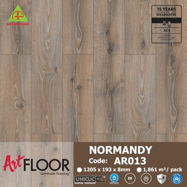 Sàn Gỗ ART AR013