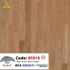 Sàn Gỗ Rainforest AT010