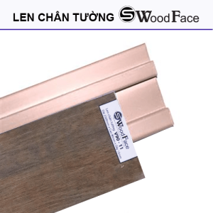 Len Tường Malaysia V90-11