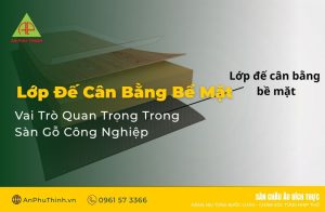 Lớp Đế Cân Bằng Bề Mặt Là Gì