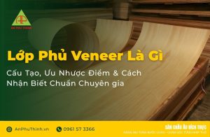 Lớp Phủ Veneer Là Gì