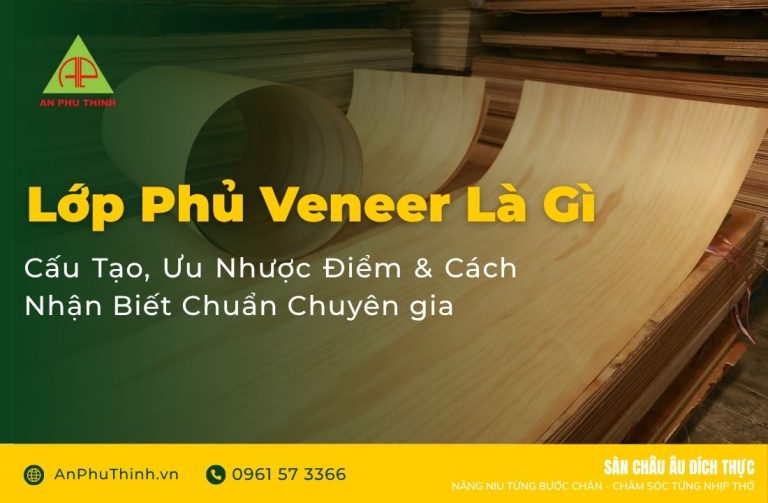 Lớp Phủ Veneer Là Gì