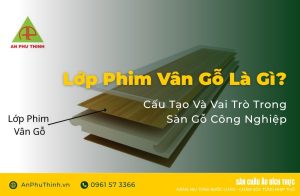 Lớp Phim Vân Gỗ Là Gì?