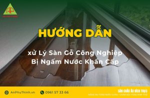Xử lý sàn gỗ bị ngấm nước
