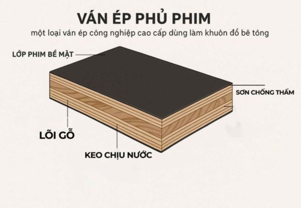 Cấu tạo chi tiết của ván ép phủ phim