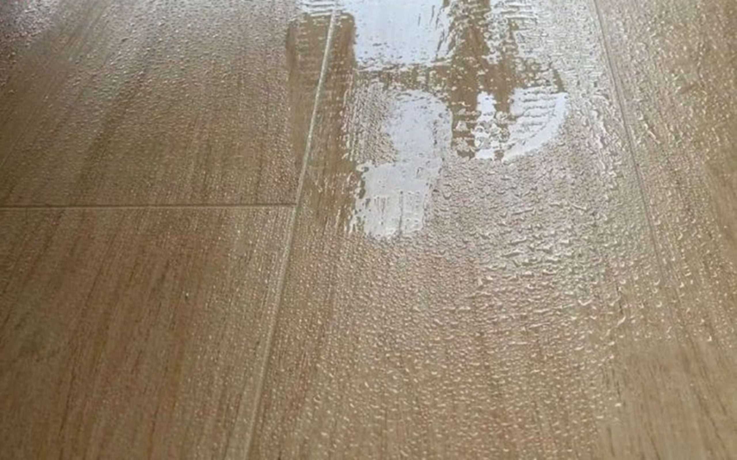 Sàn nhà bị nồm ẩm 