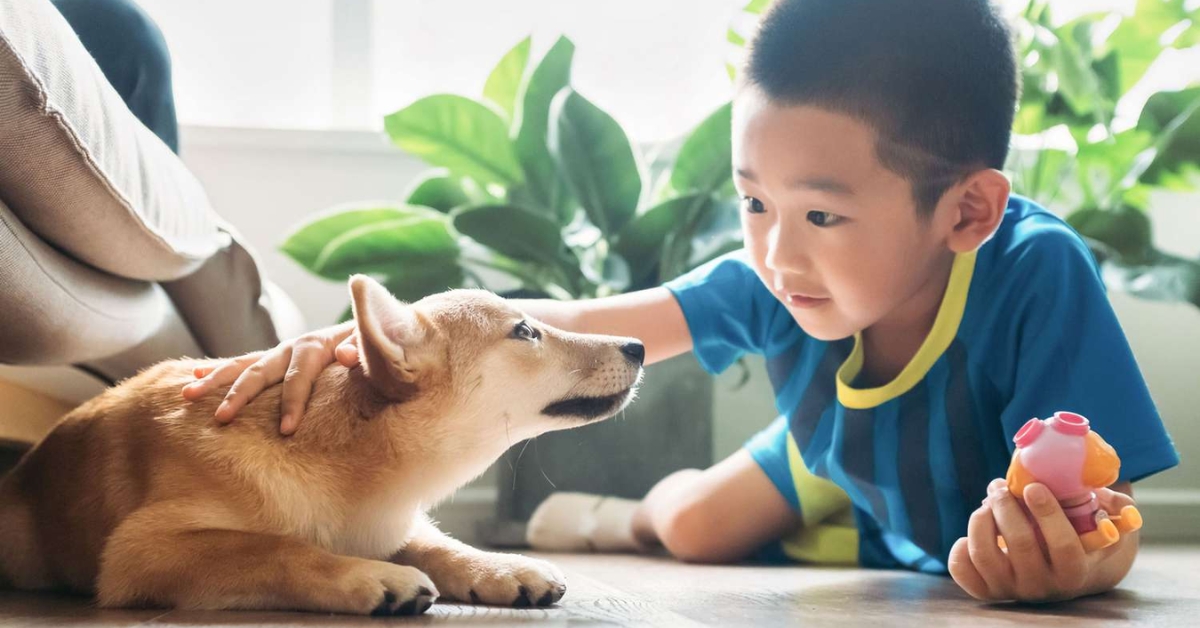 Sàn gỗ Stayclean phù hợp với trẻ nhỏ và thú cưng