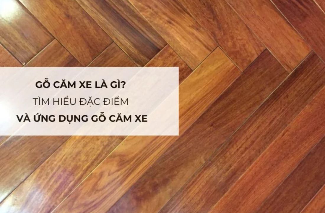Đặc điểm và cấu tạo của gỗ căm xe