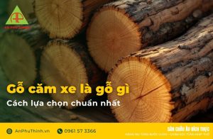 Go-cam-xe-la-go-gi-cach-lua-chon-chuan-nhat