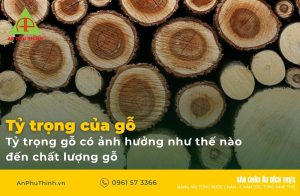 Tỷ trọng của gỗ là gì? Tỷ trọng gỗ có ảnh hưởng như thế nào đến chất lượng gỗ