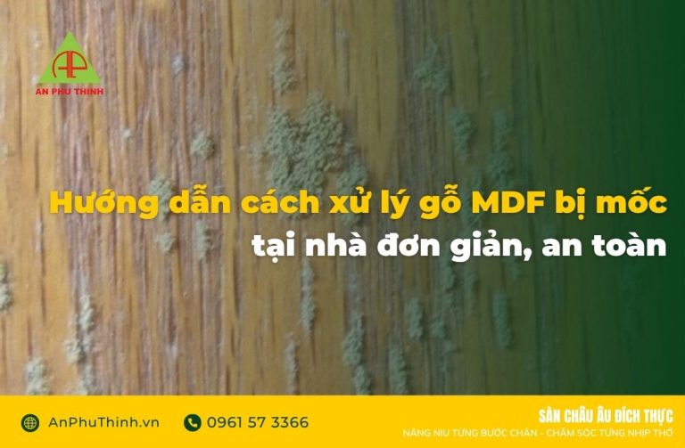 Cách xử lý MDF bị mốc