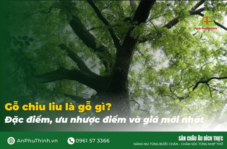 Gỗ chiu liu là gỗ gì?