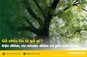 Gỗ chiu liu là gỗ gì?