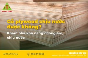 gỗ plywood chịu nước được không
