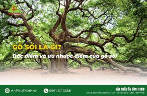 Gỗ sồi là gì
