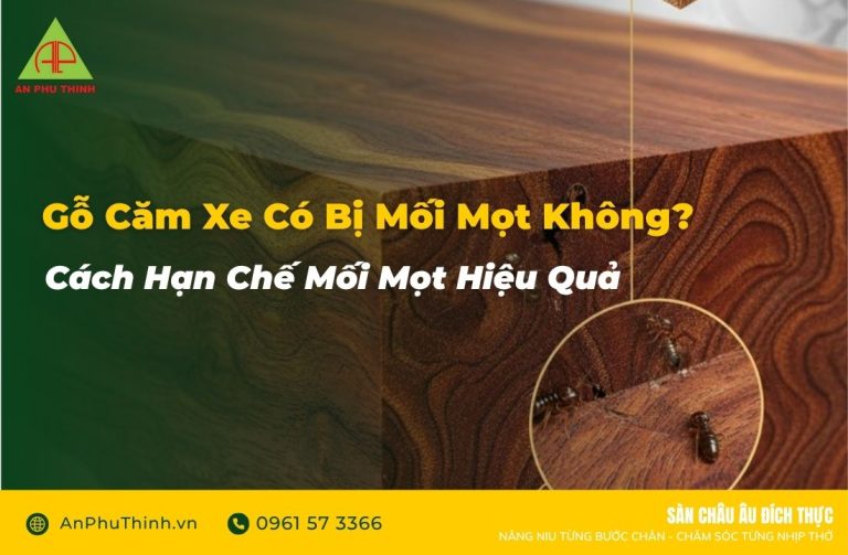 Gỗ căm xe có bị mối mọt không?