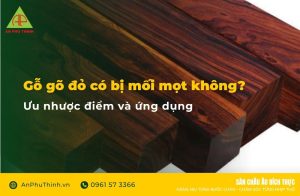 Gỗ gõ đỏ có bị mối mọt không