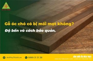 Gỗ óc chó có bị mối mọt không?