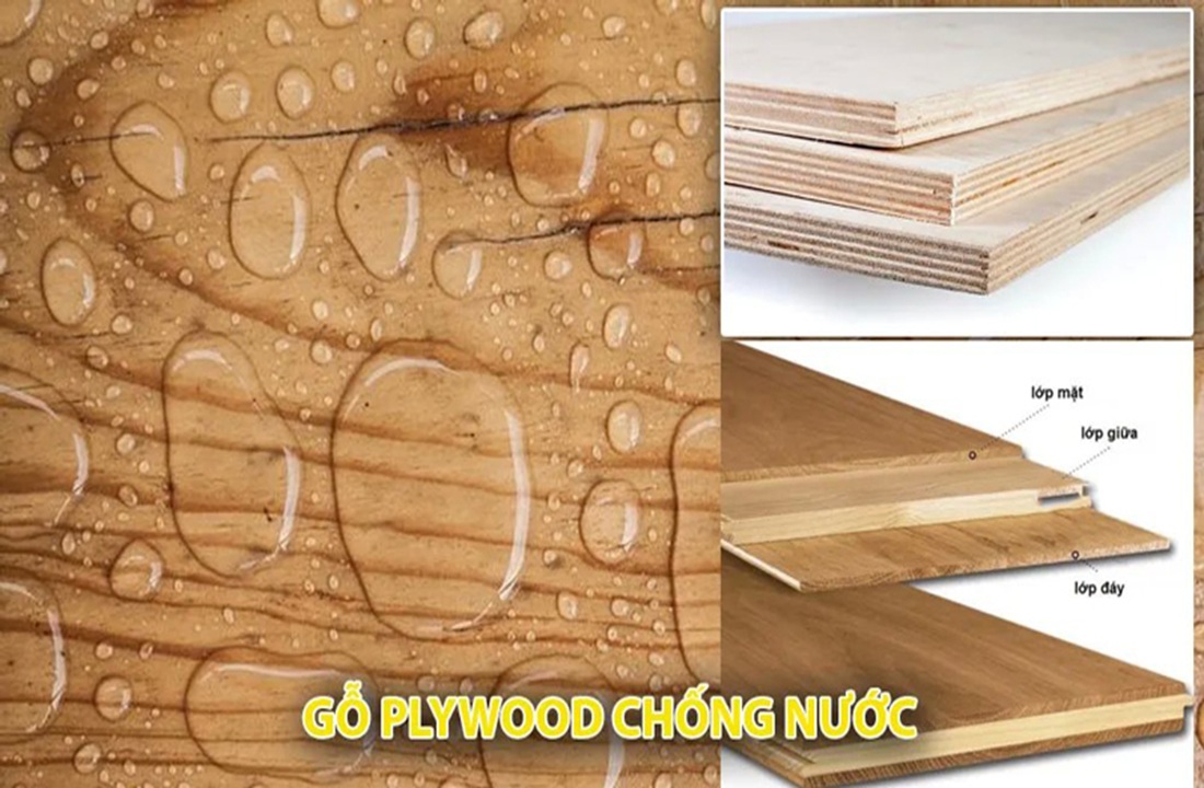 Gỗ plywood có chống nước không? Khả năng chịu ẩm thực tế 1 Gỗ plywood chống nước không