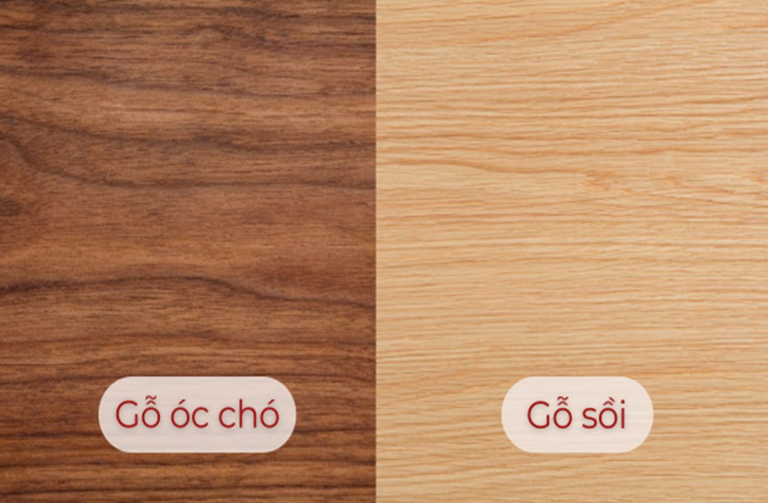 So sánh gỗ óc chó và gỗ sồi 