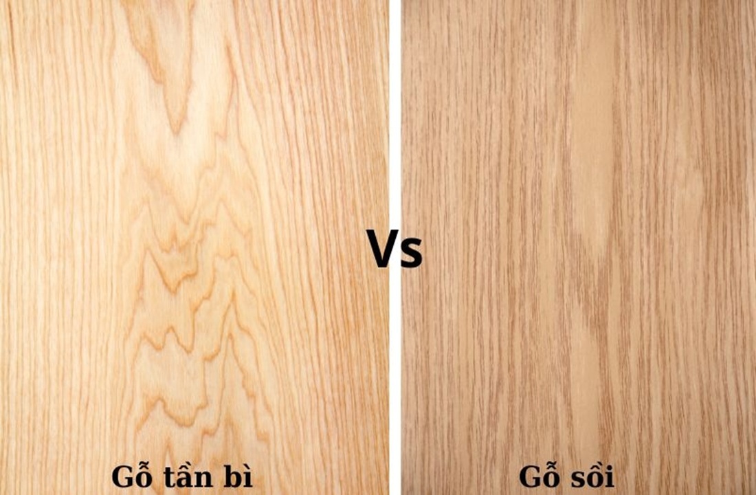 So sánh gỗ sồi và tần bì